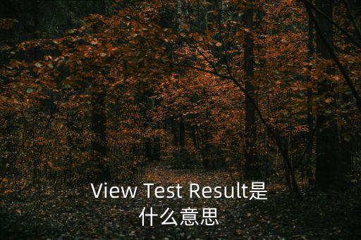 測試結(jié)果，MyDiskTest的測試結(jié)果