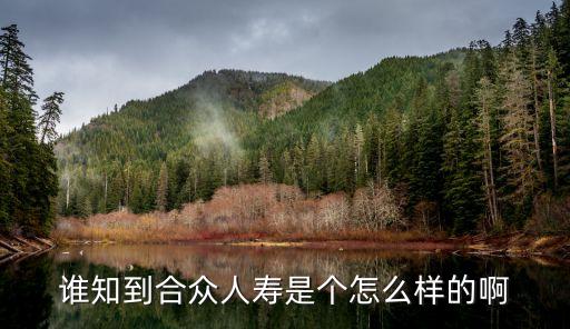 合眾，誰知到合眾人壽是個(gè)怎么樣的啊