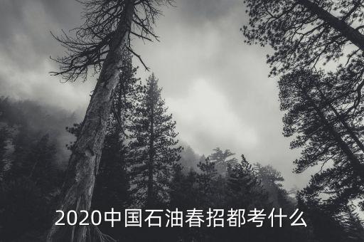 中石油春招，2020中國石油春招都考什么