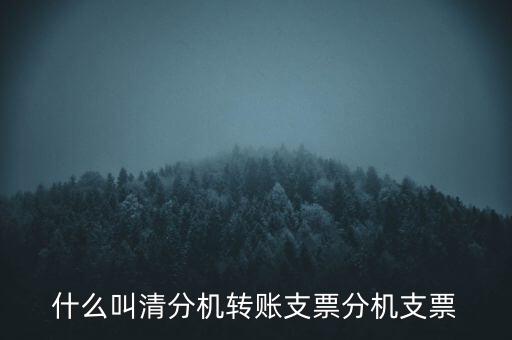 什么叫清分機(jī)轉(zhuǎn)賬支票分機(jī)支票