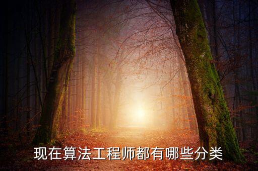 現(xiàn)在算法工程師都有哪些分類