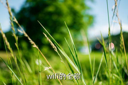 wifi全稱，wifi的全稱