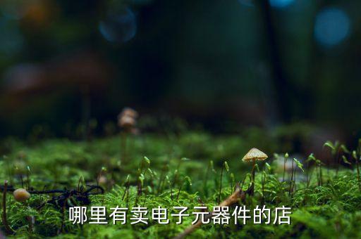 電子元器件批發(fā)，哪里有賣電子元器件的店