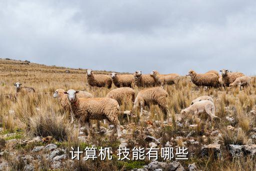 計(jì)算機(jī)專(zhuān)業(yè)自動(dòng)化專(zhuān)業(yè)技能,專(zhuān)業(yè)技能與職業(yè)素養(yǎng)計(jì)算機(jī)專(zhuān)業(yè)高中