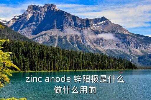 鋅陽極，電鍍金屬鋅陽極陰極方程式溶液中鋅離子濃度不變還是減小
