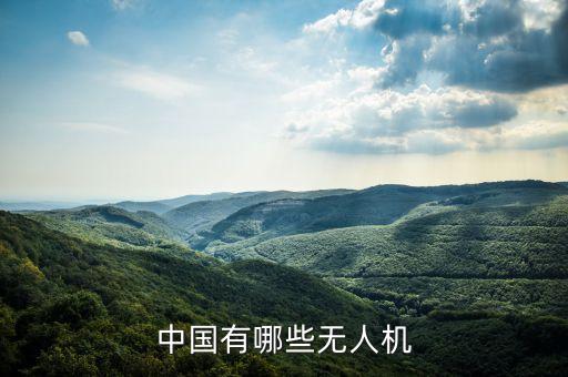 中國(guó)有哪些無(wú)人機(jī)