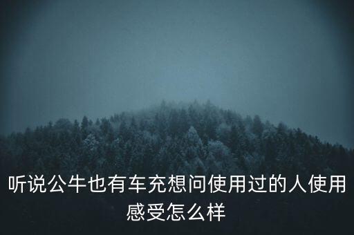 聽說公牛也有車充想問使用過的人使用感受怎么樣
