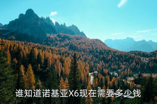 諾基亞x6價格，誰知道諾基亞X6現(xiàn)在需要多少錢