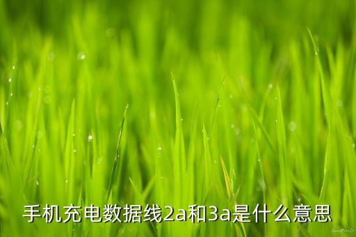 手機(jī)充電數(shù)據(jù)線2a和3a是什么意思