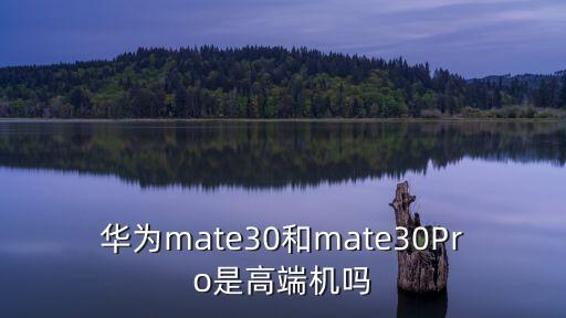 華為mate30和mate30Pro是高端機(jī)嗎