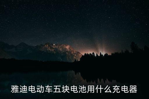 雅迪電動車充電器，雅迪電動車五塊電池用什么充電器