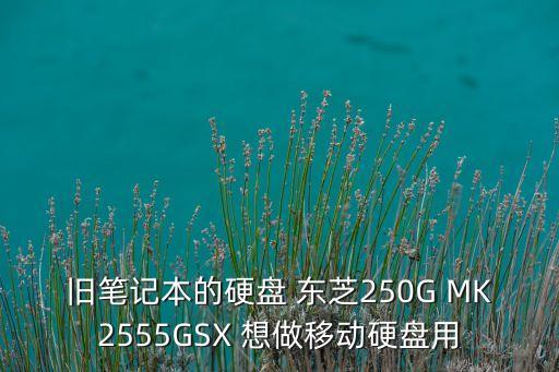 jms578，咖啡色系眼影什么牌子的好又便宜