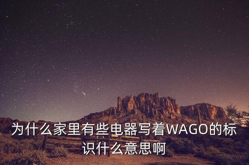 wago，為什么家里有些電器寫著WAGO的標(biāo)識什么意思啊