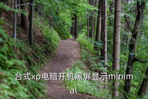 臺式xp電腦開機黑屏顯示minimal