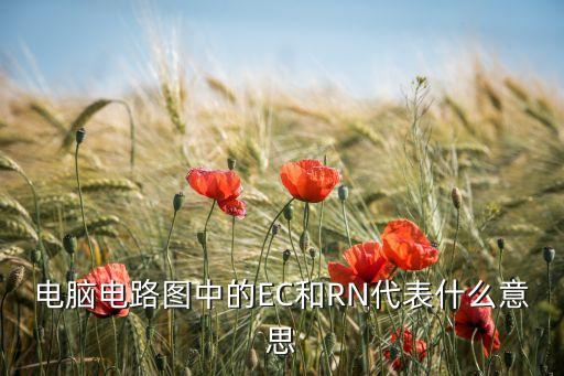 ec是什么，電腦電路圖中的EC和RN代表什么意思