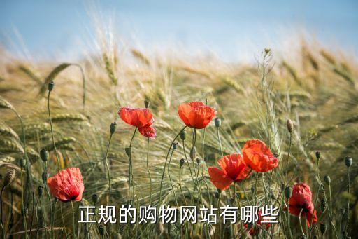 正規(guī)，什么樣的店才叫正規(guī)的是不是譬如大商場(chǎng)和大城市之類(lèi)的就叫正規(guī)了