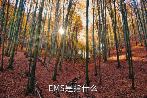 什么是EMS，什么是EMS