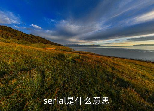 serial，單詞serial的中文是什么意思