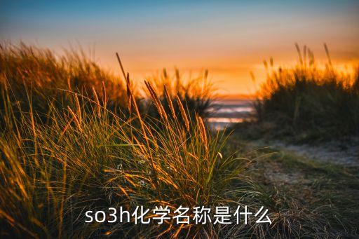 so3h，so3h化學(xué)名稱是什么