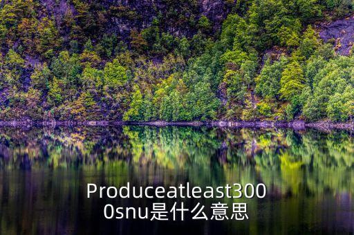 snu，Produceatleast3000snu是什么意思