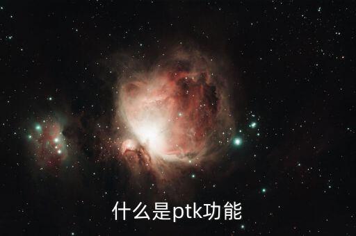 什么是ptk功能