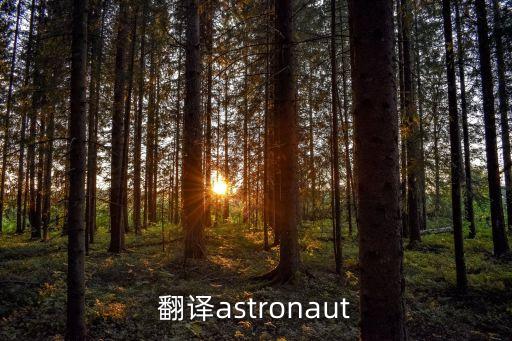 翻譯astronaut