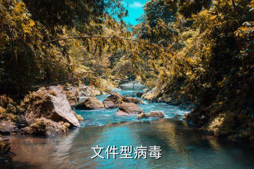 文件型病毒