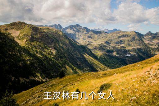王漢林有幾個女人