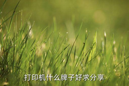打印機(jī)什么牌子好求分享