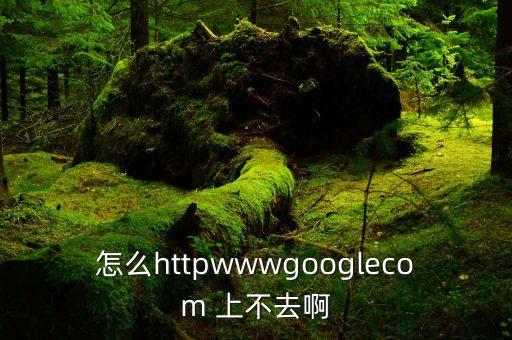 怎么httpwwwgooglecom 上不去啊