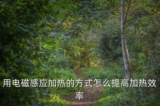 用電磁感應(yīng)加熱的方式怎么提高加熱效率