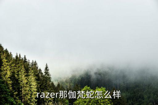 razer那伽梵蛇怎么樣