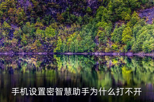 手機(jī)設(shè)置密智慧助手為什么打不開