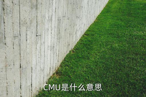 cmu，飛機(jī)無線電通信的23章中的CMU是什么