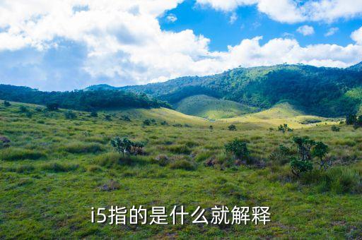 i5指的是什么就解釋