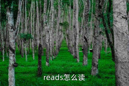 reads怎么讀