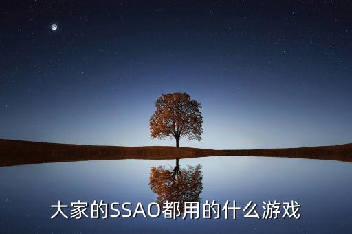 大家的SSAO都用的什么游戲