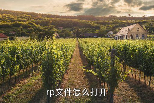 rp文件怎么打開