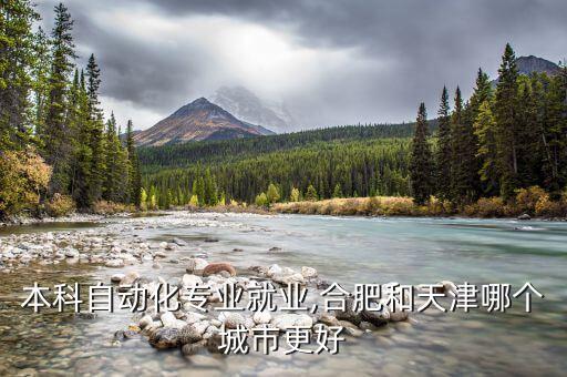 本科自動化專業(yè)就業(yè),合肥和天津哪個城市更好