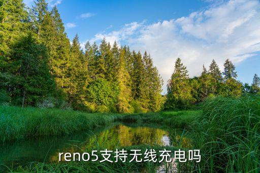 reno5參數(shù)，reno5支持無線充電嗎