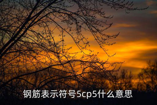 鋼筋表示符號5cp5什么意思