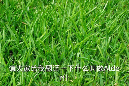 alder，哈利波特Alder是誰(shuí)