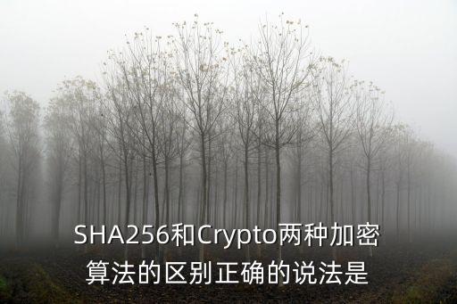 SHA256和Crypto兩種加密算法的區(qū)別正確的說法是