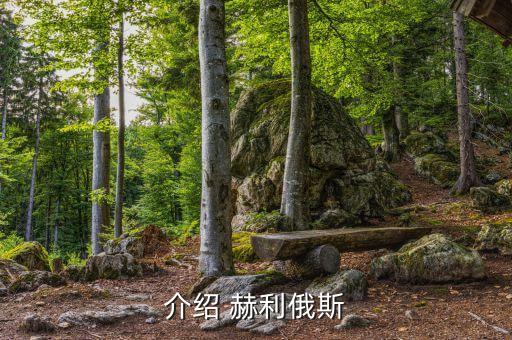 介紹 赫利俄斯