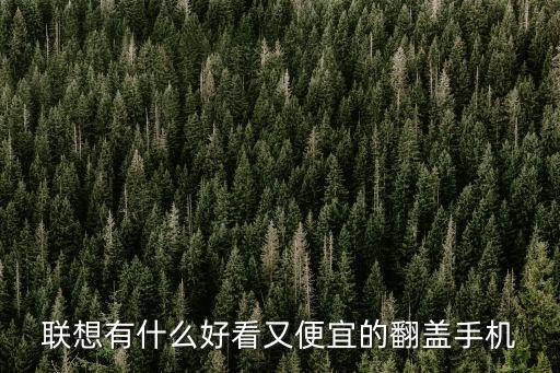 聯(lián)想有什么好看又便宜的翻蓋手機(jī)