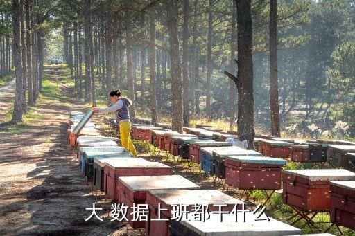 大 數(shù)據(jù)上班都干什么