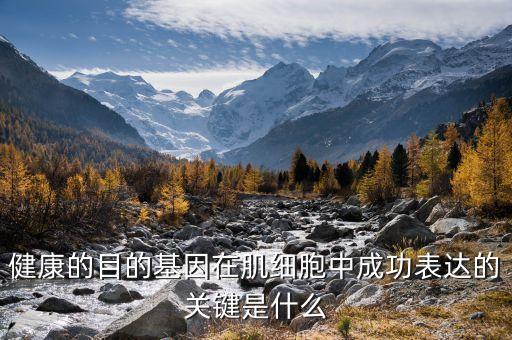 健康的目的基因在肌細(xì)胞中成功表達(dá)的關(guān)鍵是什么