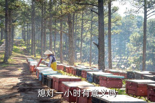 熄燈一小時(shí)有意義嗎