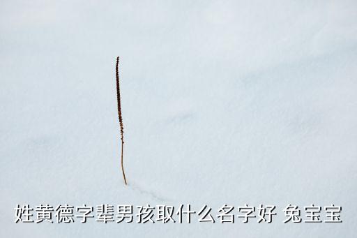 姓黃德字輩男孩取什么名字好 兔寶寶