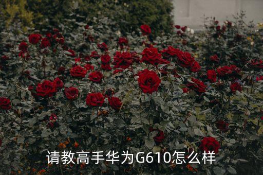 請教高手華為G610怎么樣